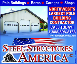 466899 - Steel Structures