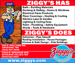 Ziggy's- 465871